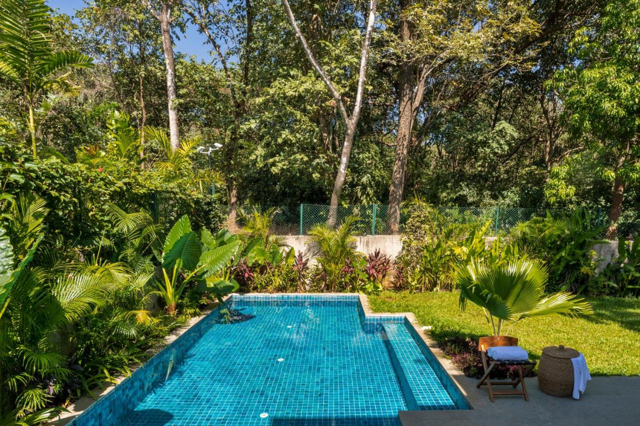 La Macedo by The Blue Kite - Luxury 3 BHK Villas in Assagao, with Private Pool, Garden, Terrace, Parking, Security - Chambres d'hôtes Mapusa