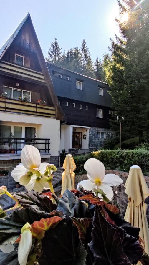 Penzion Svojanov - Ferienwohnung Svojanov