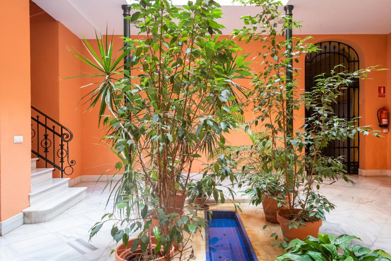 Alohamundi Campana II - B&B