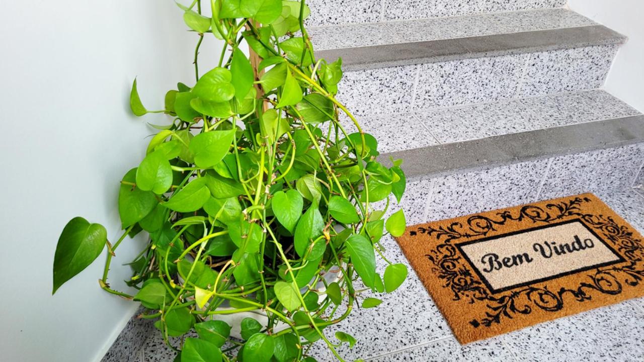 Victoria Apartment - Center of Ponta Delgada - B&B