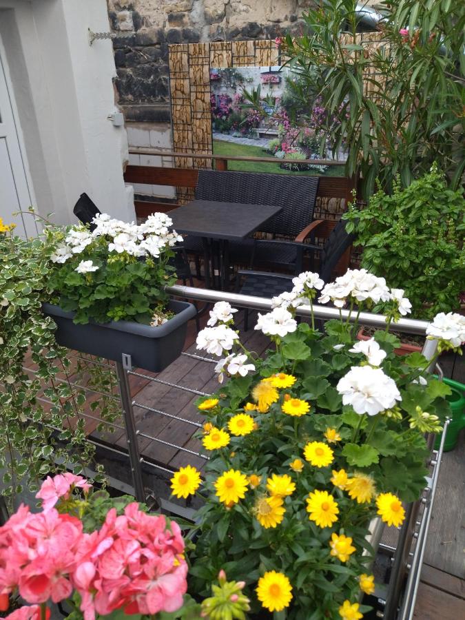 Ferienhäuschen am Heumarkt - Ferienwohnung