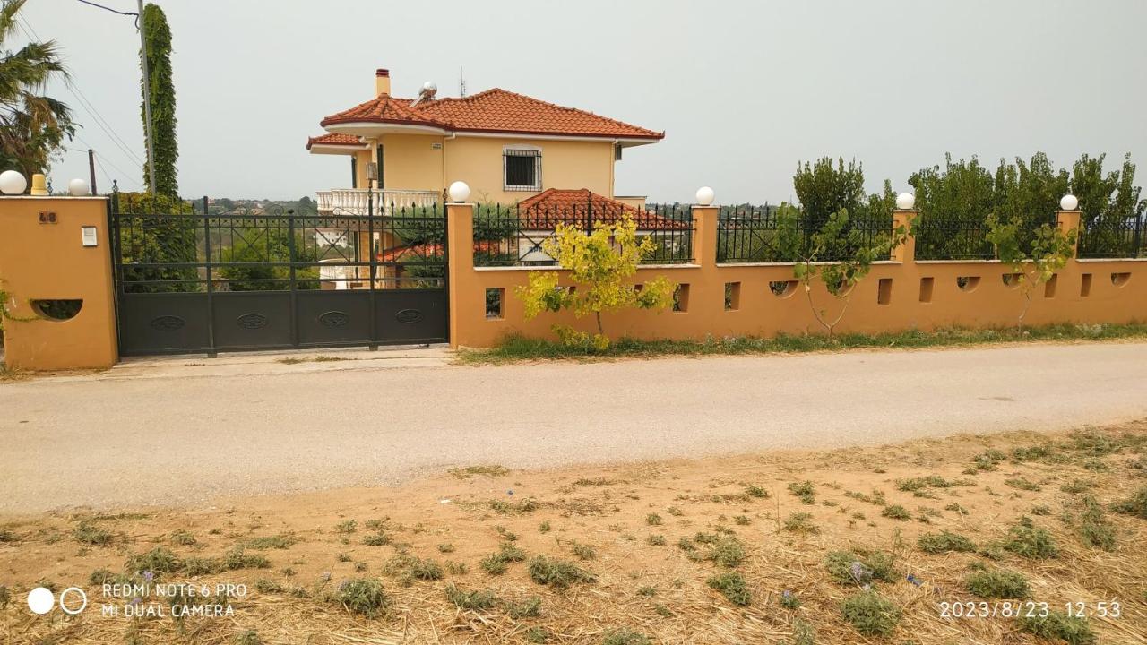 Villa Zeus Thessalonikis - B&B