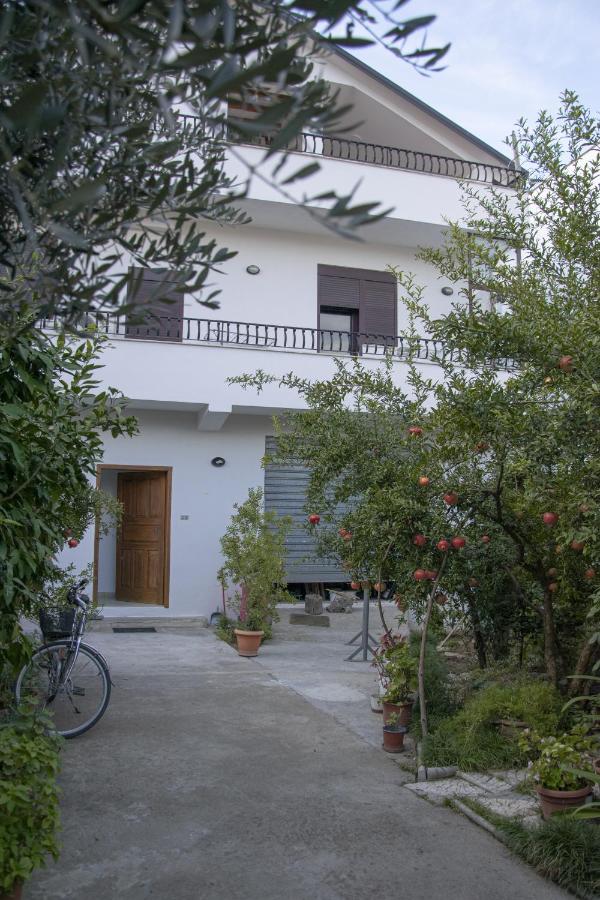 Old olive - B&B Tirana