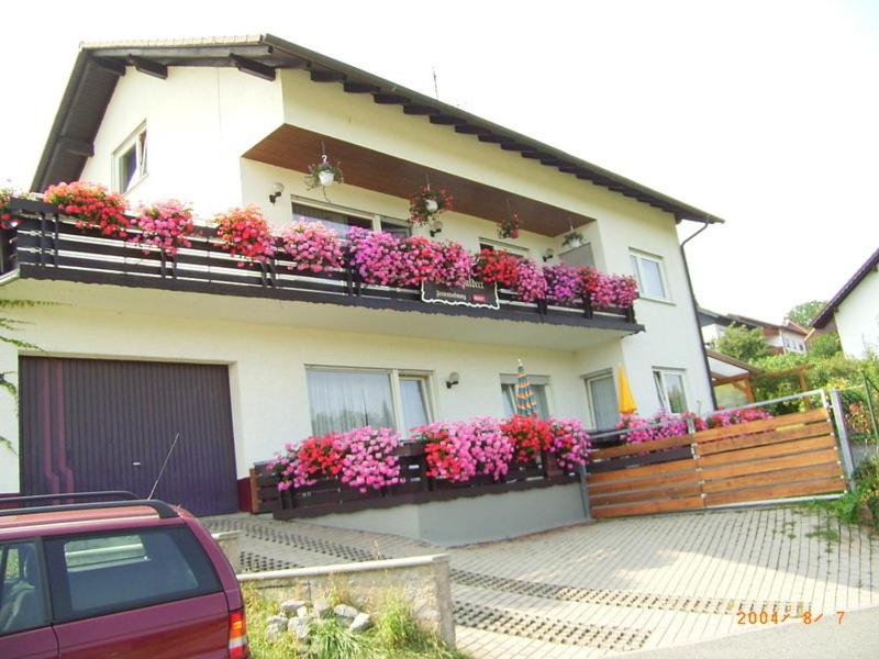 B&B Wald-Michelbach - Haus Waldeck - Bed and Breakfast Wald-Michelbach