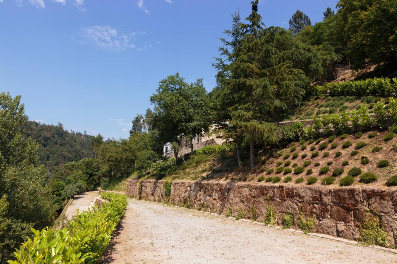 Douro Green - B&B