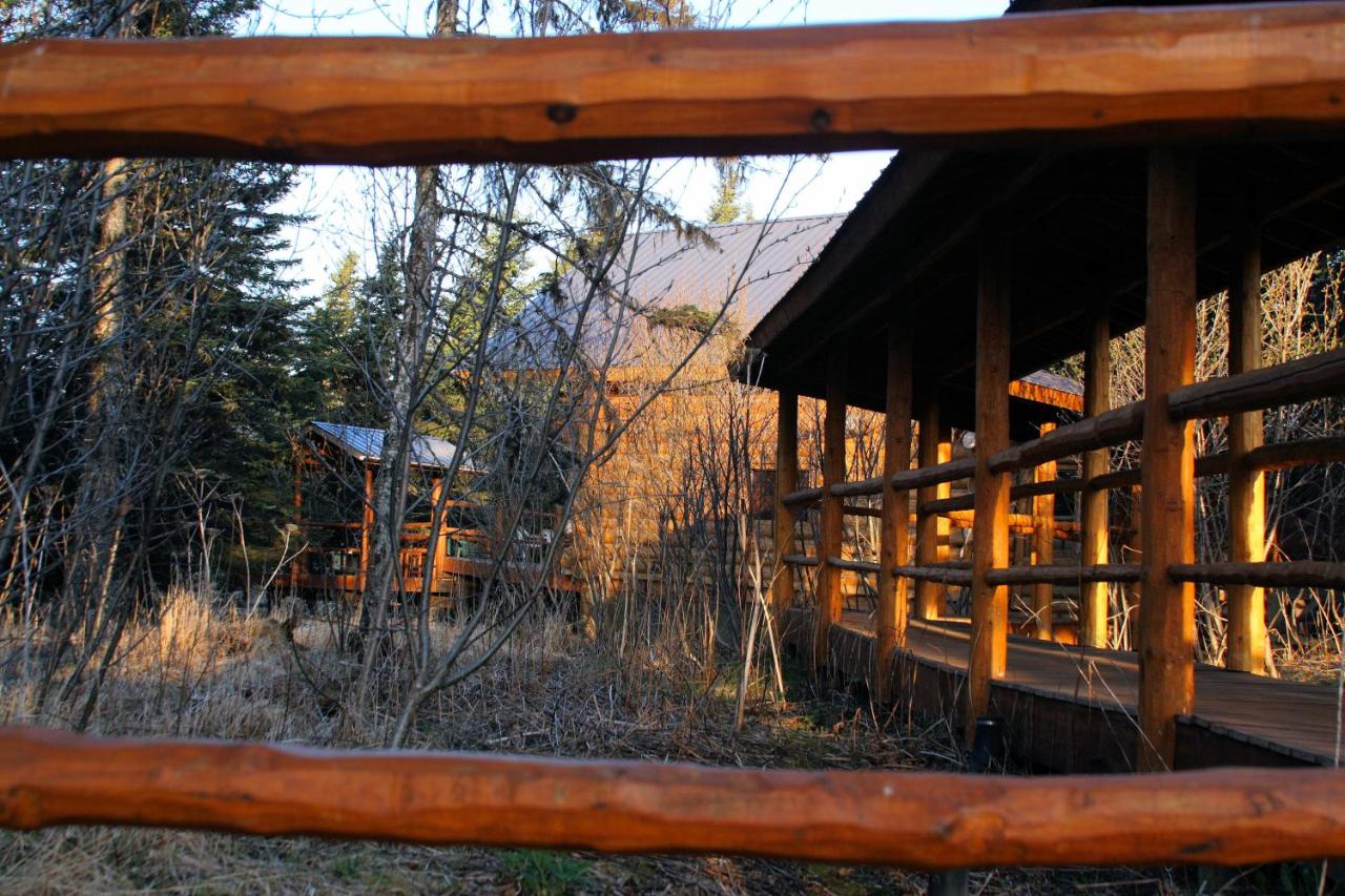 Wise Old Hunter Lodge - B&B