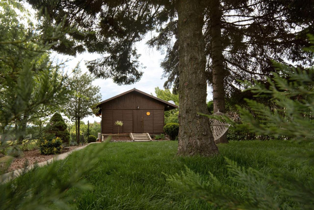 Bogdányi Kisház - B&B Dunabogdány