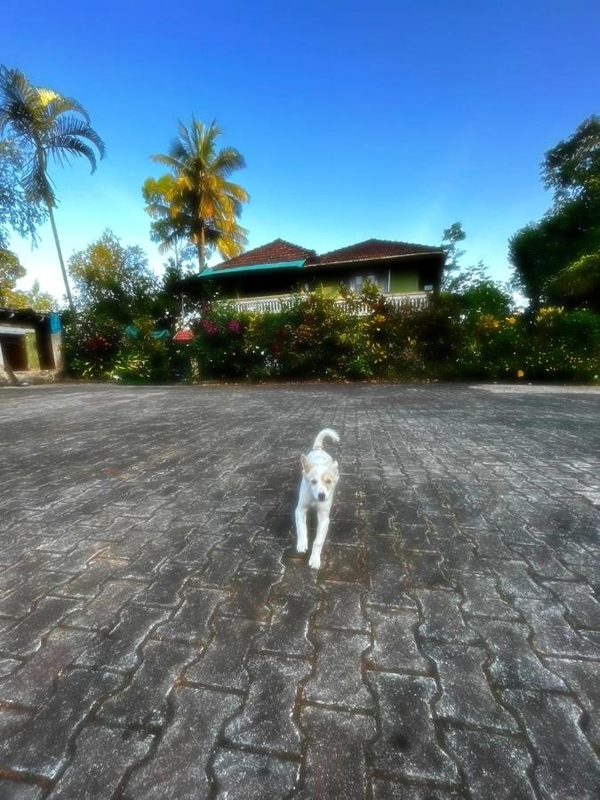 Choorimotte Homestay - Chambres d'hôtes Srimangala
