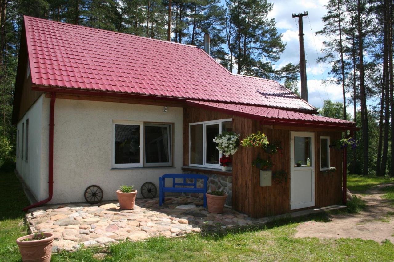 Nature Retreat "Upes Dižvietas" - Chambres d’hôtes