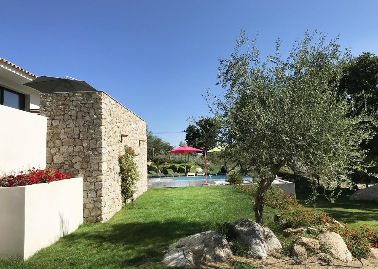Villa Récente avec Piscine proche L'ILE ROUSSE - B&B