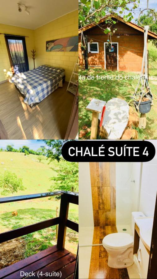 Suite Chalet