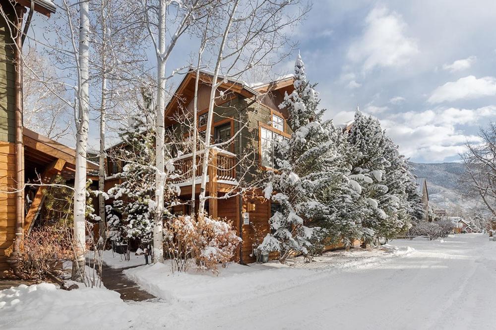 Christiana Lodge 102A Studio in Aspen with Hot Tub access - Ferienwohnung