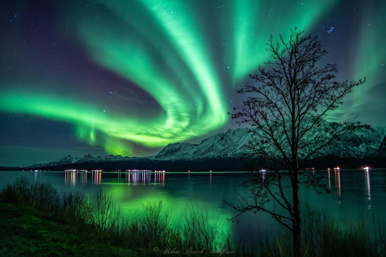 Lena Apartment Tromsø - Bed and Breakfast Kvål