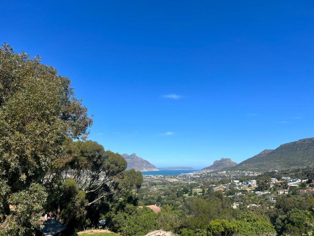 Deluxe Double Room with Ocean View - Penguin