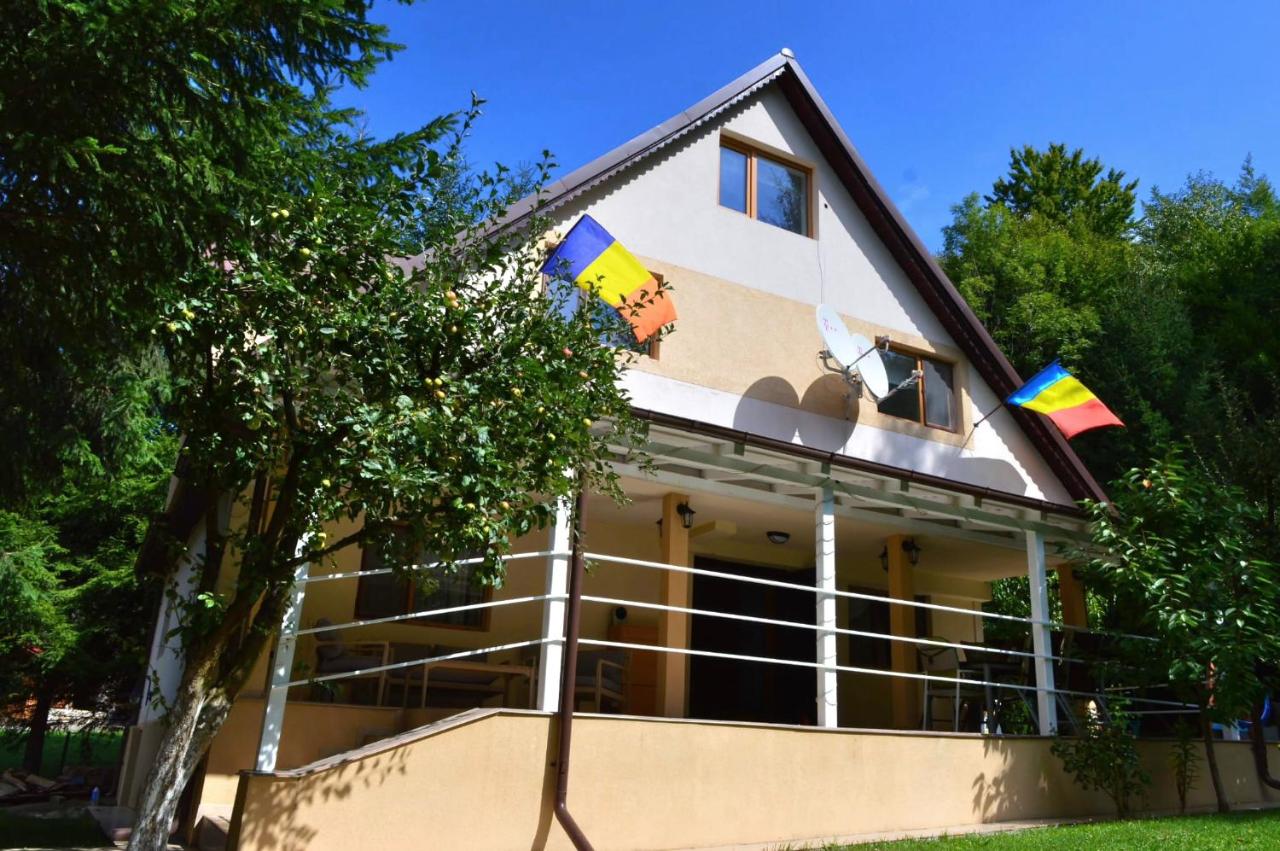 B&B Lepșa - Casa Aris Lepsa Vrancea - Bed and Breakfast Lepșa