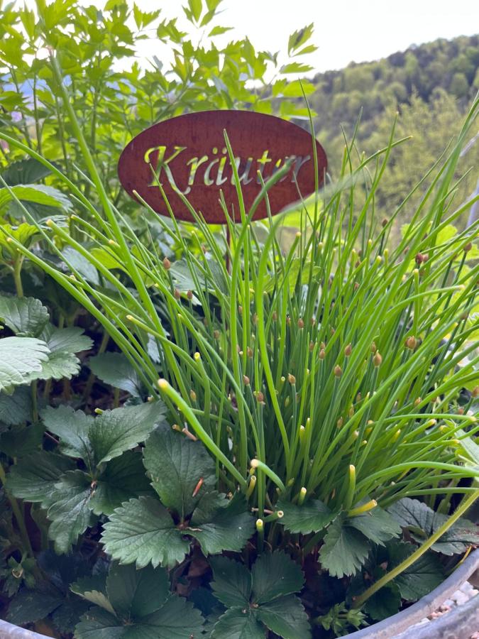 Haus Nebel - B&B Oberhaag