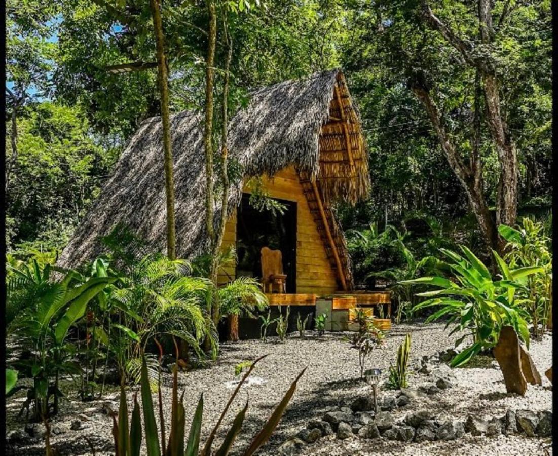 Cabinas de Lou Eco Lodge TAMARINDO - B&B