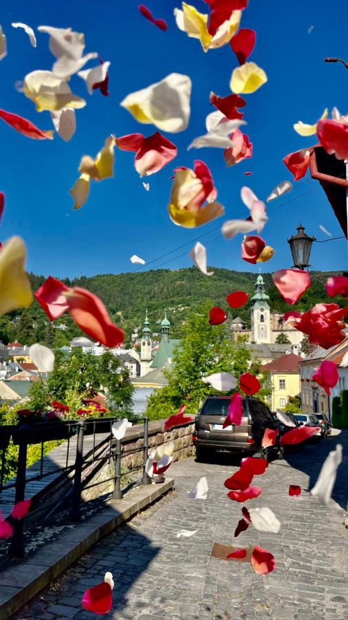 Apartmán Franko - B&B Banská Štiavnica