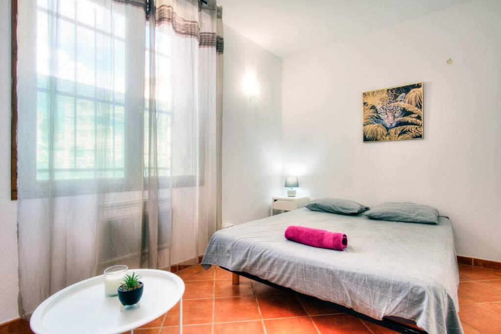 Grande chambre au coeur de Montpellier - Bed and Breakfast