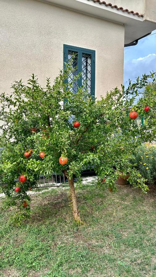 Il Melograno - B&B