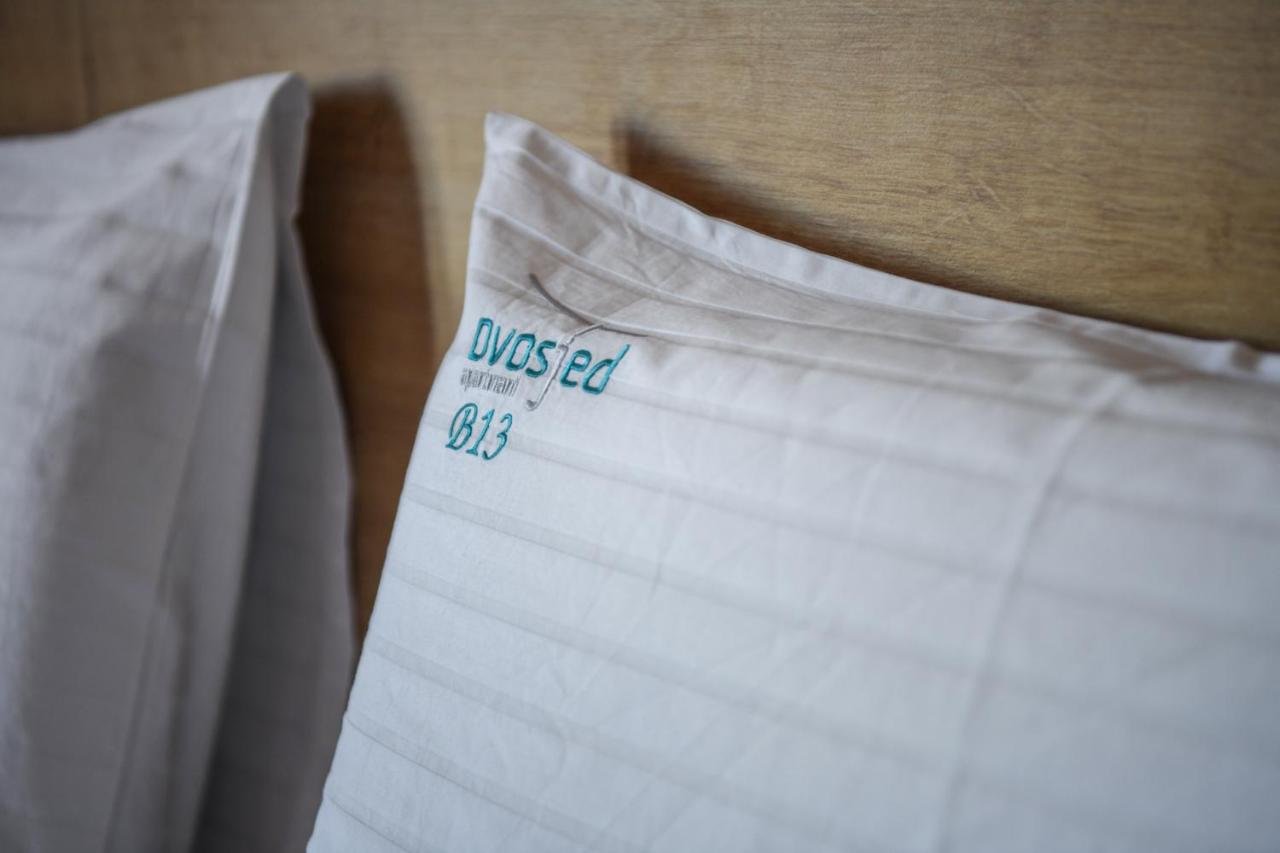 Appartement 1 Chambre