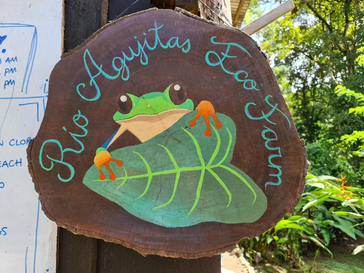Rio Agujitas Eco jungle - Island and Corcovado tours - B&B