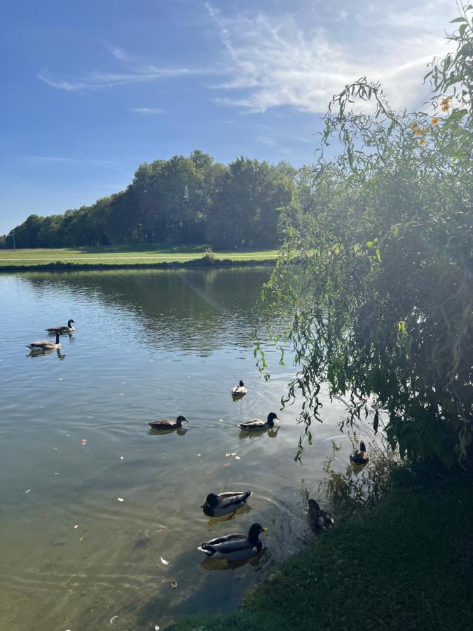 Privatzimmer 15 qm mit Gemeinschaftsbad - Chambres d’hôtes