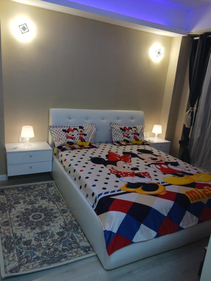 Myky Mouse nu primesc santieristi si petrecareti - B&B
