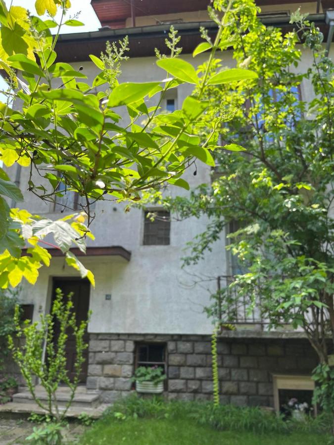 River's house, free parking! - B&B Sofia