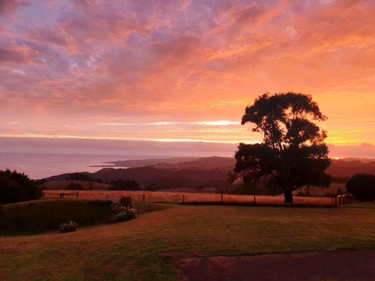 B&B Wongarra - Ocean-view Hilltop Retreat - Bed and Breakfast Wongarra