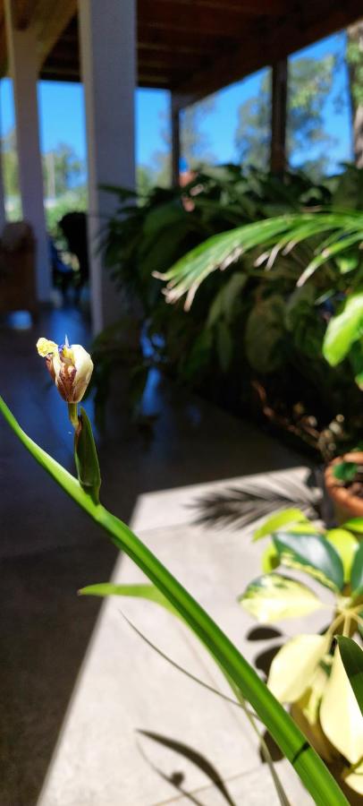 LA CASITA DE CANDELARIA - Bed and Breakfast Garupá