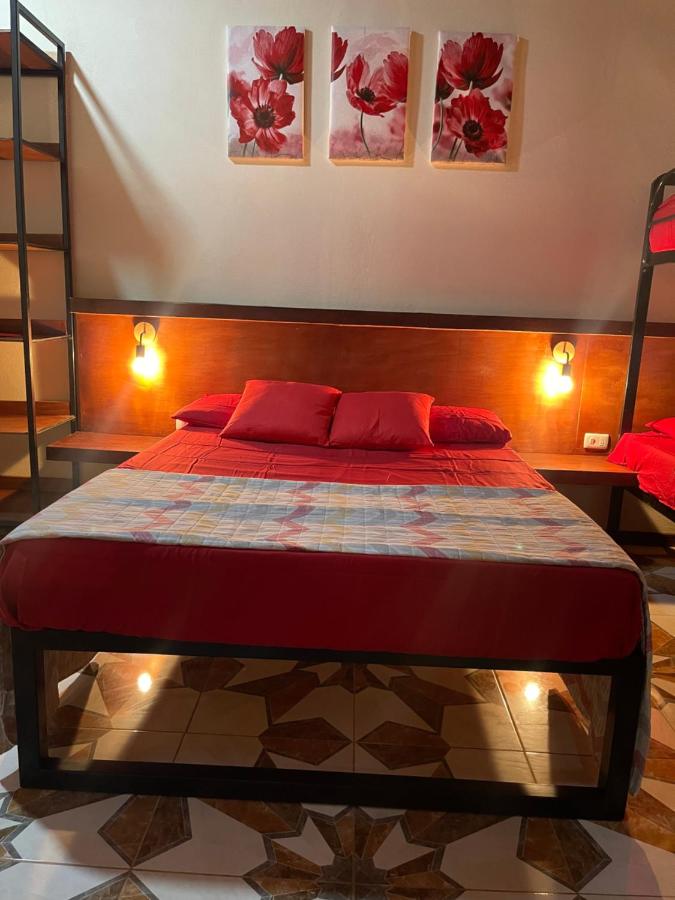 Comfort Quadruple Room