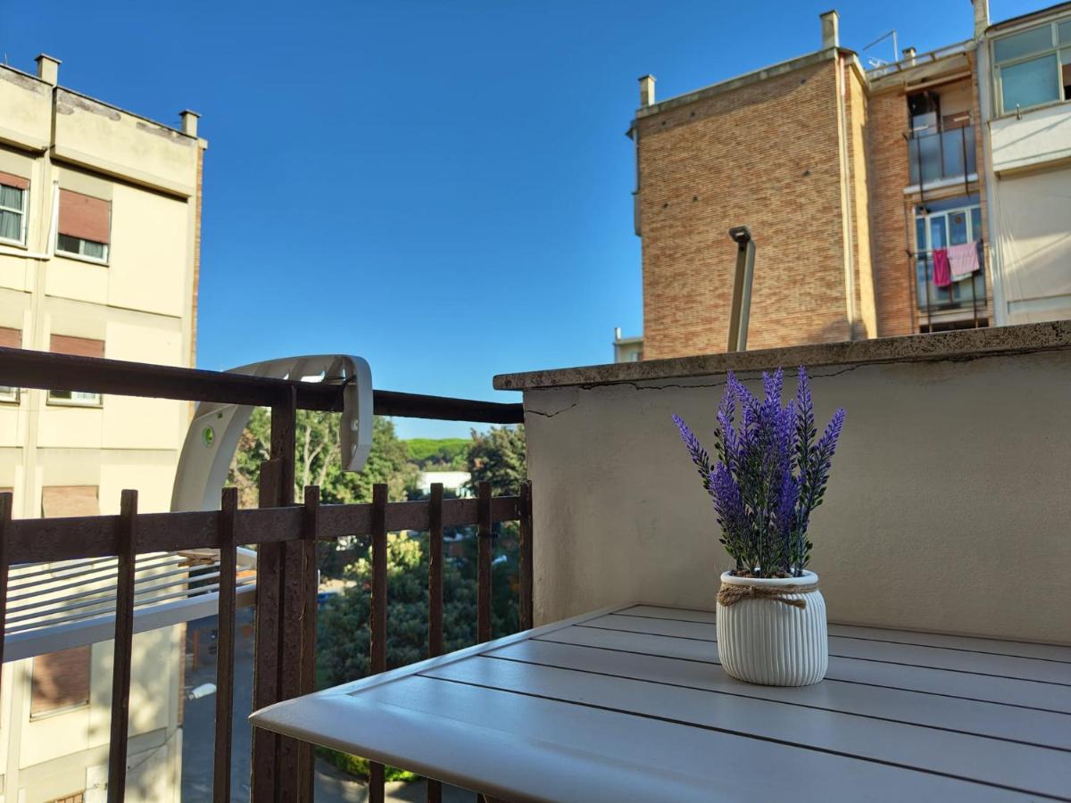 Saky's House - Bed and Breakfast