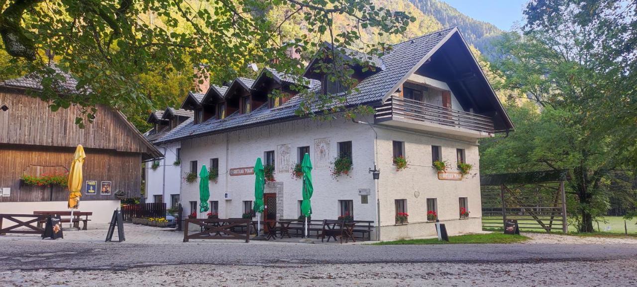 Turisticna Kmetija Psnak - B&B Mojstrana