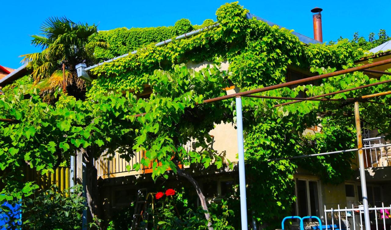 Guest house Green Veranda - B&B