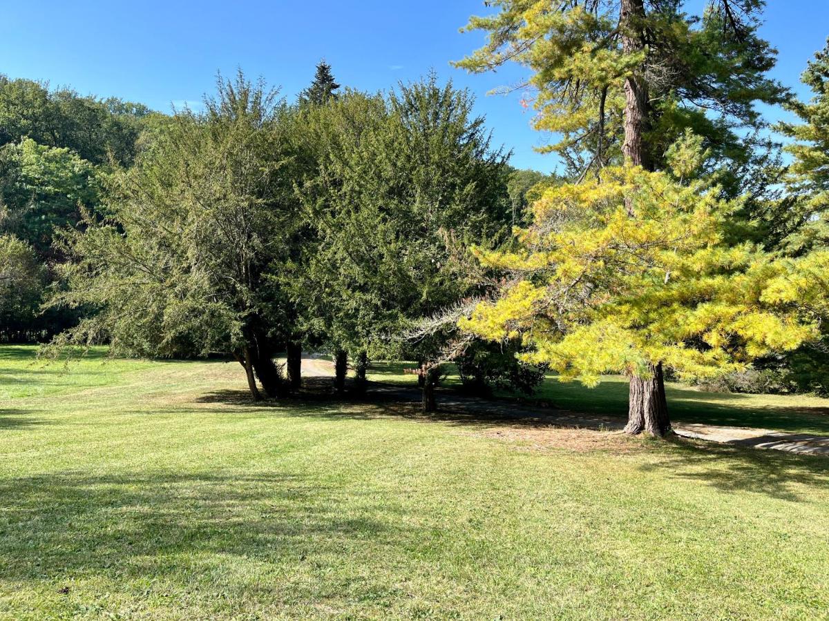 Doppelzimmer mit Gartenblick