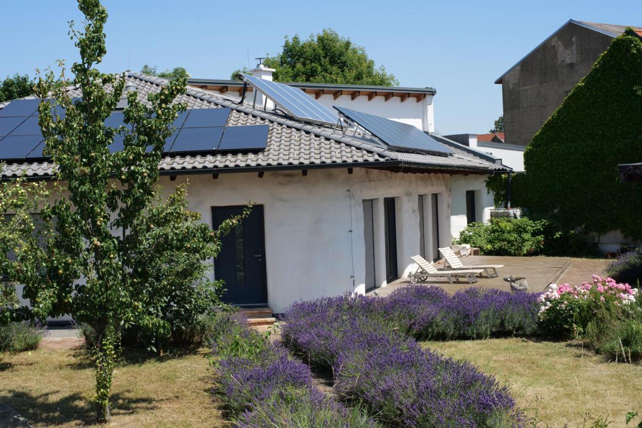 Strohlehm'zhaus - B&B
