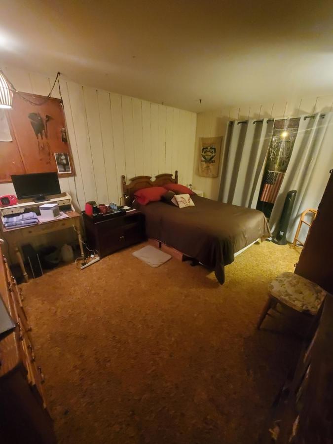 A Stay In The Woods - Ferienwohnung Steger