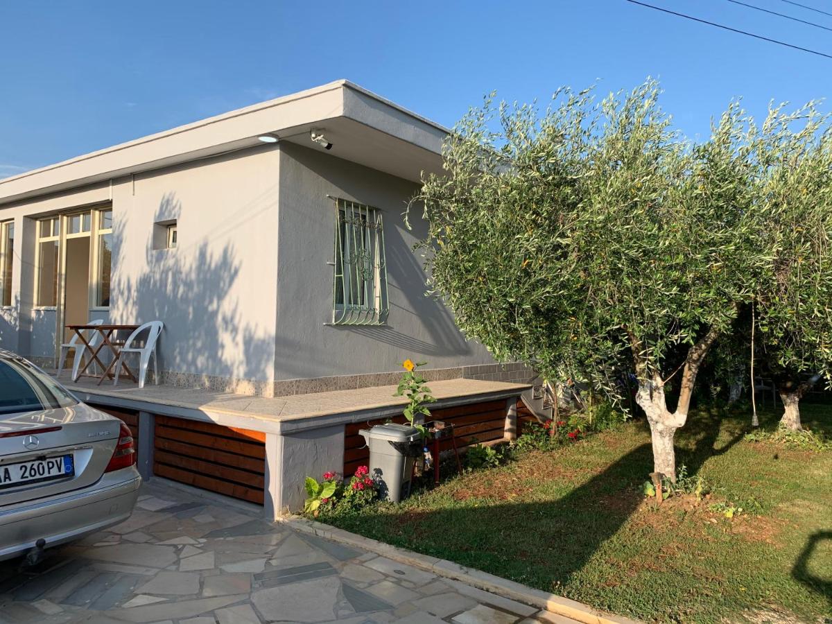 Anel Studios - Chambres d’hôtes Vlora