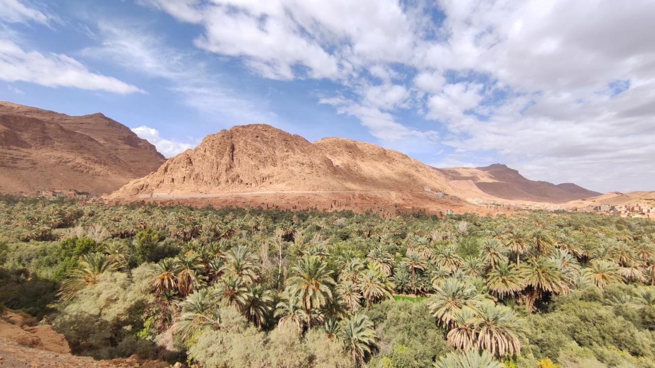 Palmeraie Guest House - Bed and Breakfast Tinghir