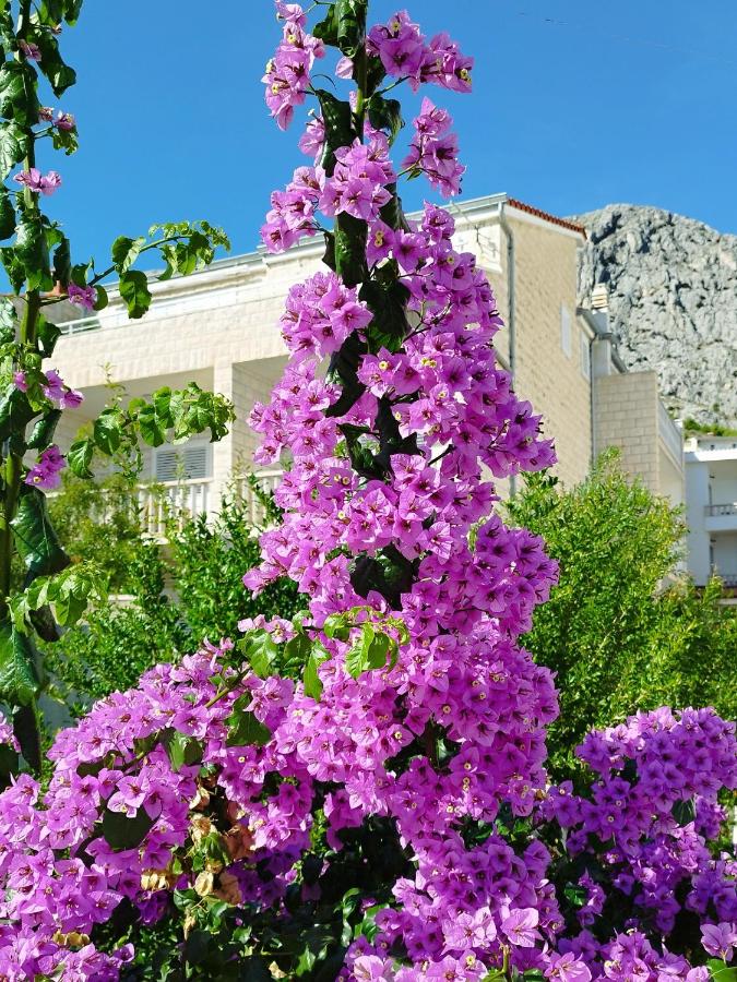 Ferienwohnung am Sandstrand - Chambres d’hôtes Omiš