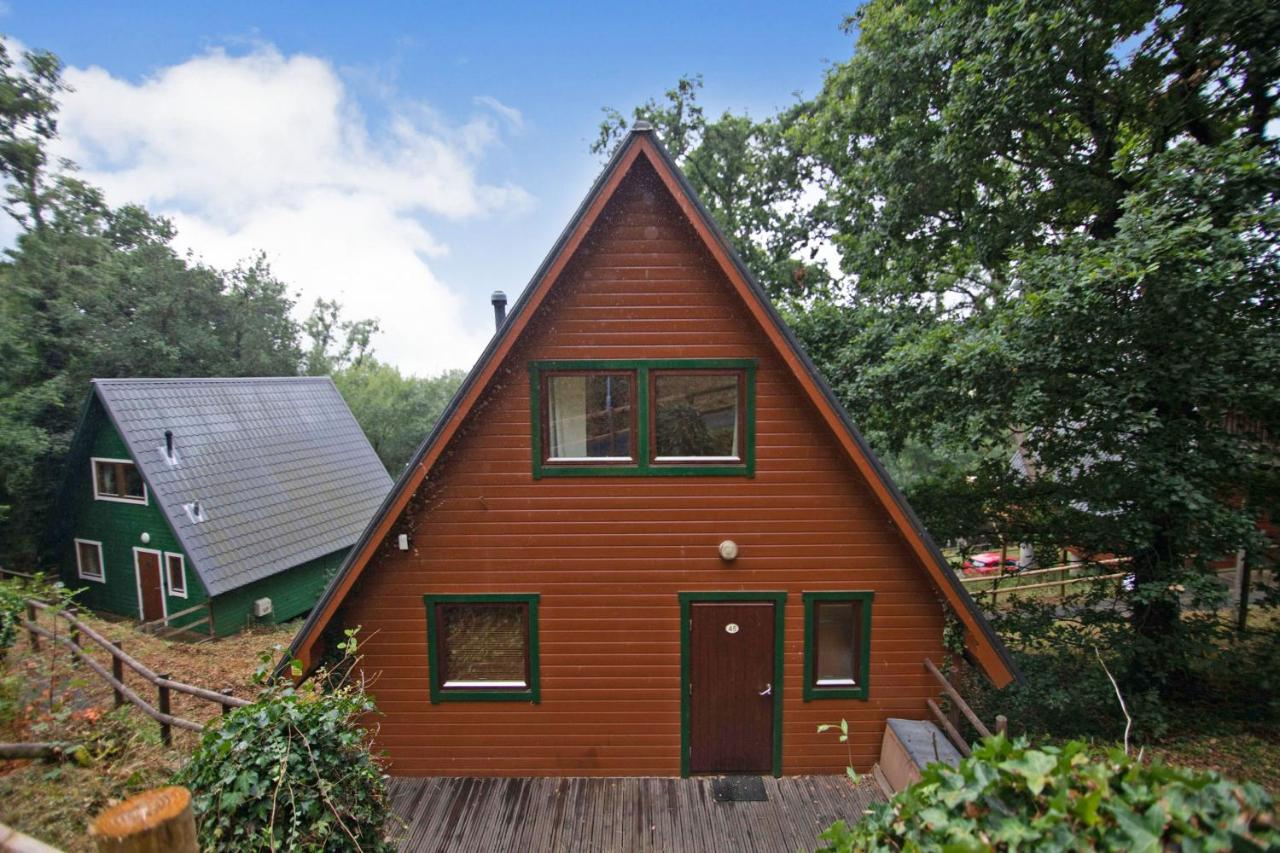 B&B Chudleigh - Lazy Bear A-frame Holiday Home - Devon - Bed and Breakfast Chudleigh