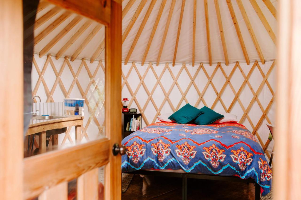 Original Yurt 3