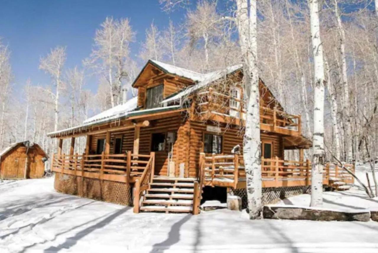 B&B Heber - Peaceful Log Cabin in the Woods. 20 miles from ski resorts. Family Friendly! - Bed and Breakfast Heber