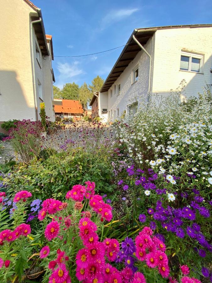 Ferienwohnung Riese Nordhessen - Chambres d'hôtes Felsberg