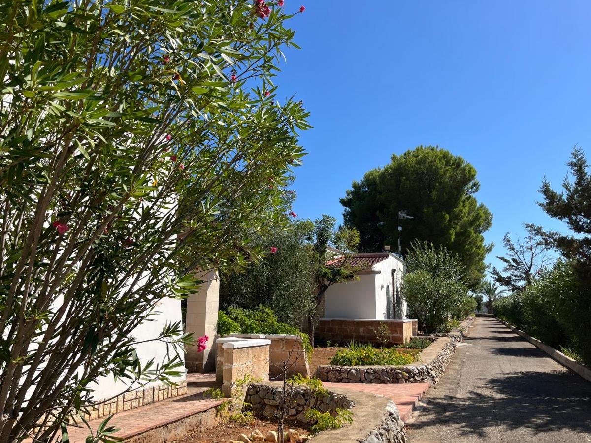 Casette Masseria La Camardia - B&B Sava