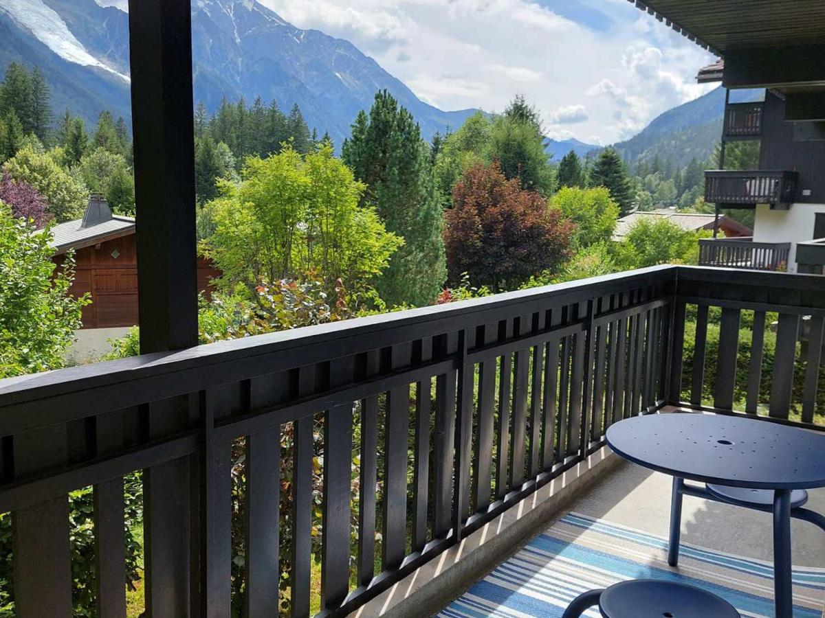 2 Pièces Vue Mont Blanc avec Balcon - Chamonix, Animaux acceptés - FR-1-517-19 - Chambres d’hôtes Chamonix-Mont-Blanc