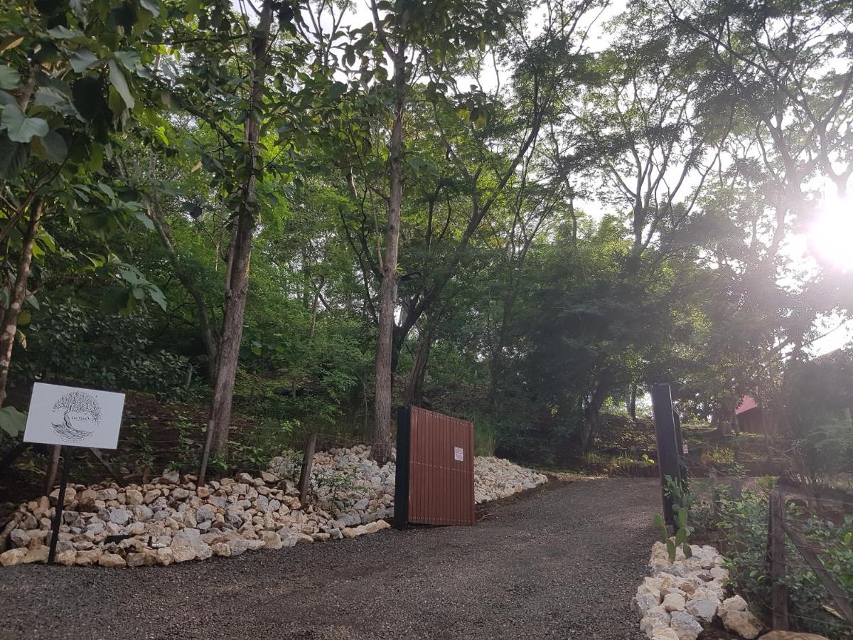 Baliyana Lodge - B&B