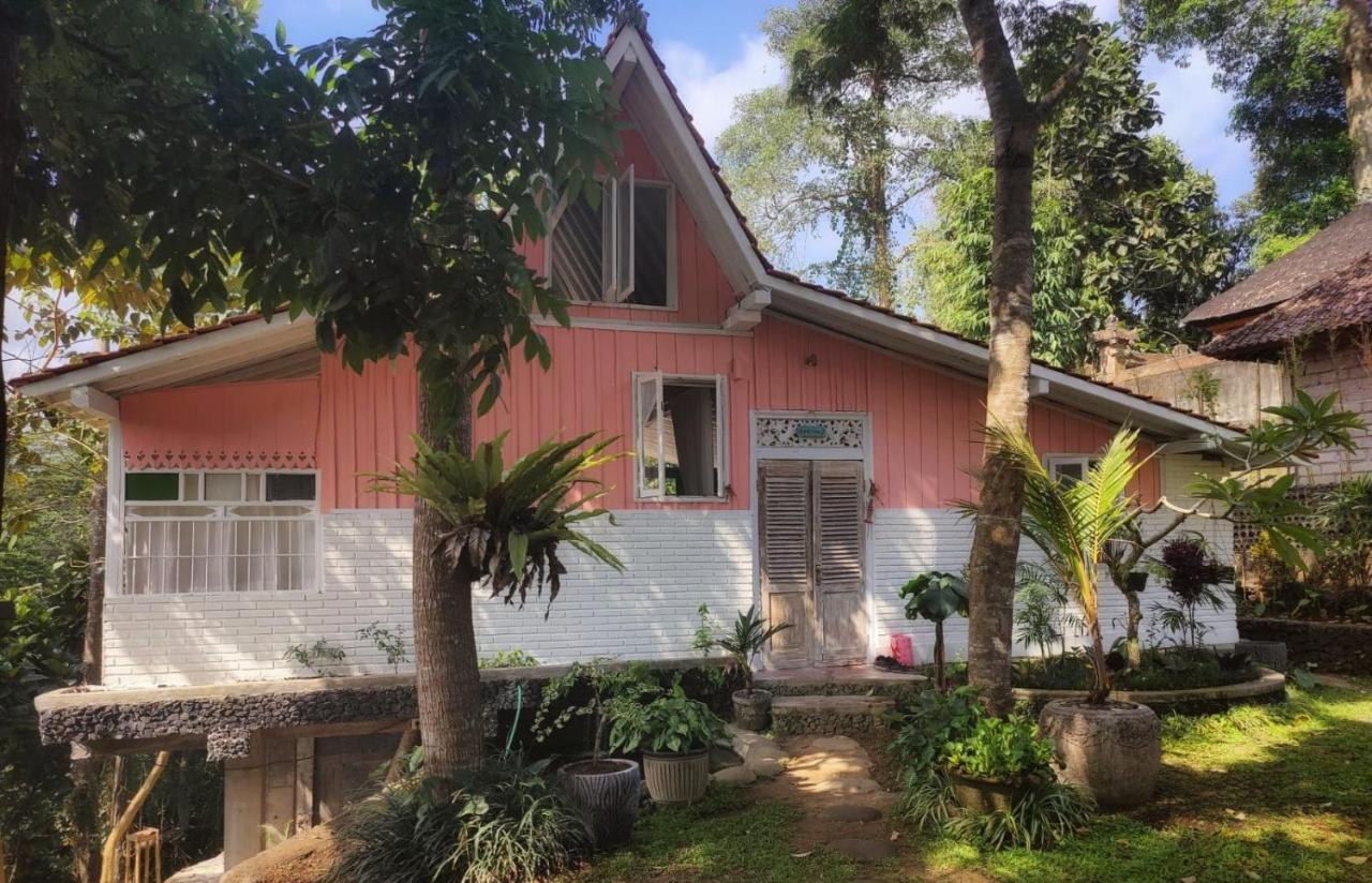 Villa Celagi - Best View in Ubud and Huge Private Garden - B&B Ubud