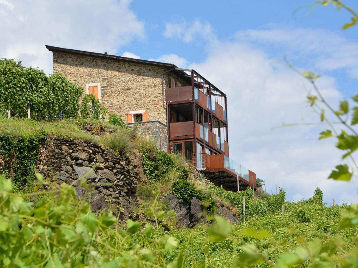 Pet Friendly Ca' Barroni - Vineyard Escape